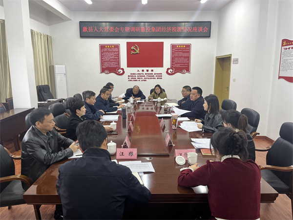 4月7日，縣人大常委會(huì )主任梅代軍帶隊專(zhuān)題調研徽投集團經(jīng)濟稅源情況，集團洪董、葉總、方總參加調研座談。.jpg