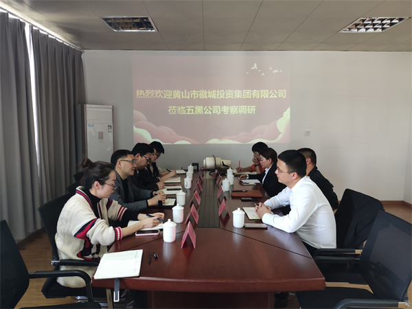 4月21日，集團黨委委員、常務(wù)副總經(jīng)理，公司董事長(cháng)兼總經(jīng)理方亮帶隊赴黟縣考察“黟品五黑”區域公用品牌運營(yíng)推廣機制和“五黑”農業(yè)特色產(chǎn)業(yè)發(fā)展情況.jpg