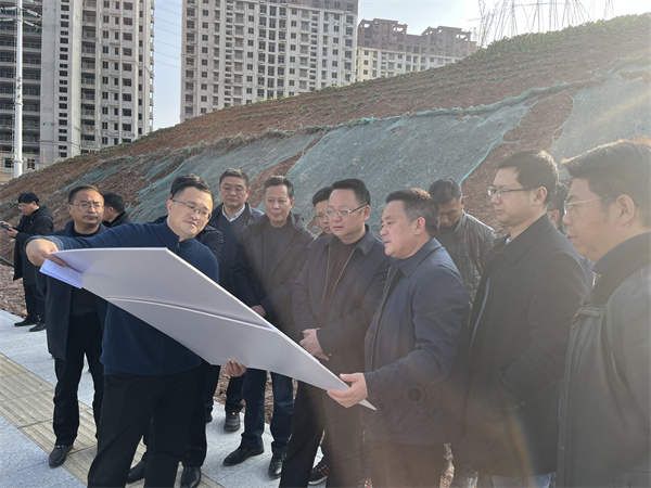 1月19日汪凱縣長(cháng)一行調研集團項目建設（徽投大廈）.jpg