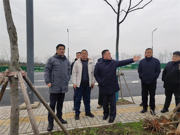 2月14日，洪董陪同王奇勇縣長(cháng)一行督導衛拍地塊.jpg