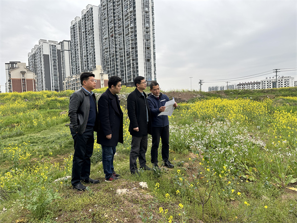 3月29日，張總陪同汪盛縣長(cháng)調度揚之學(xué)校征地.jpg