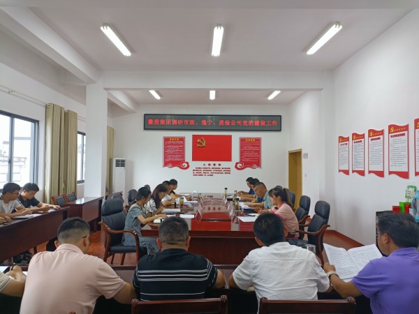 洪董帶隊調研市政公司、逸寧公司和質(zhì)檢公司黨的建設工作.jpg
