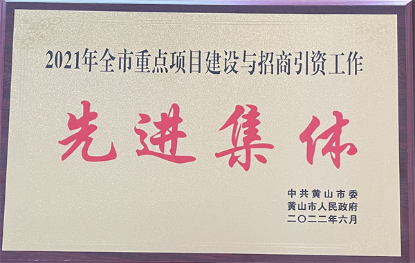 2-2021年全市重點(diǎn)項目建設與招商引資工作先進(jìn)集團.jpg